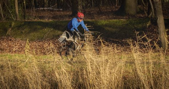 Gelderhorsten vandaag - Lommel