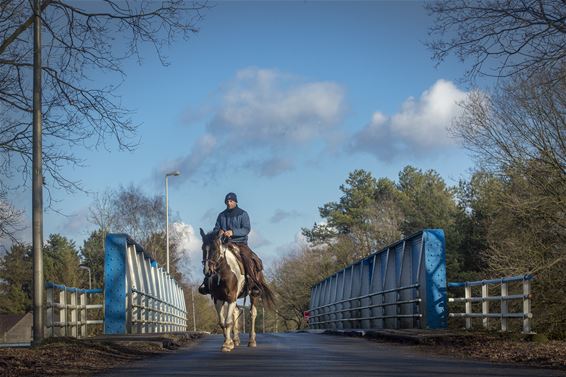 Gelderhorsten vandaag - Lommel