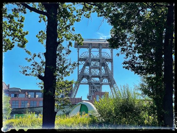 Gele wandeling  Beringen-Mijn - Beringen