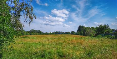 Gele wandeling Paal - Beringen