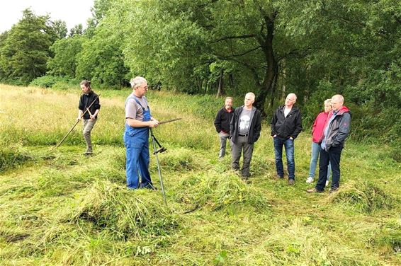 Geleide natuurwandeling 'Maaien met de zeis' - Lommel