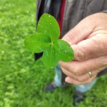 Geluk in het gras - Peer