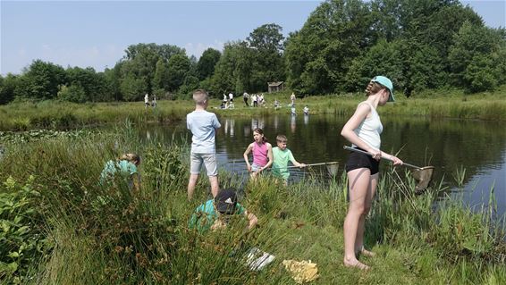 Geluksvlinder op expeditie in de Monsbemden - Bocholt