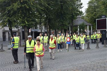 Gemeenschappelijke gezondheidswandeling - Lommel