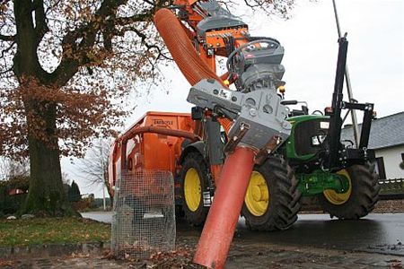 Gemeente kocht een duizendpoot - Overpelt