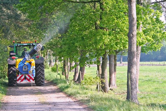 Gemeente sproeit vanaf maandag tegen rupsen - Bocholt