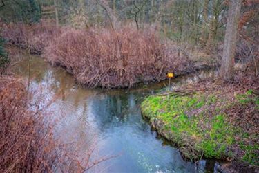 Gemeente Valkenswaard eist einde Nyrstar-lozingen - Pelt