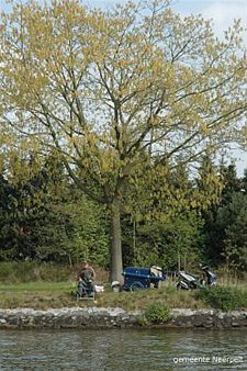 Gemeente zoekt nieuwe 'Meekijker' - Neerpelt