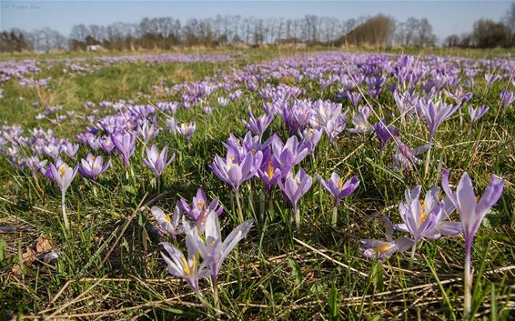 Geniet van de Vloeiweiden - Lommel