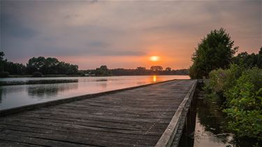 Genieten aan de Paalse Plas - Beringen