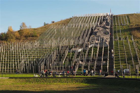 Genieten op de terril - Beringen