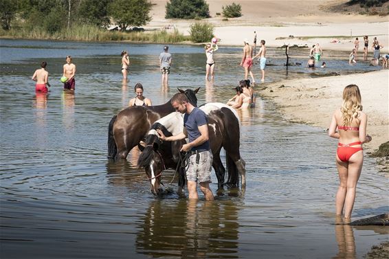 Genieten van de laatste zonnestralen - Lommel