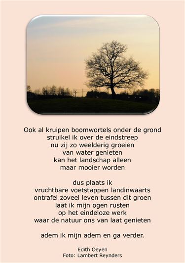 Genieten van de natuur - Beringen