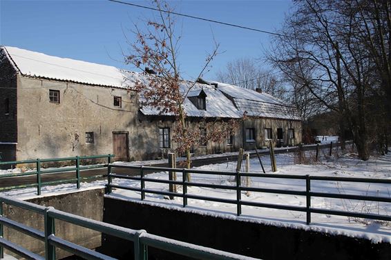 Genieten van de sneeuw... - Hamont-Achel