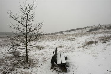 Genieten van de sneeuw - Beringen