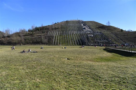 Genieten van de winterzon - Beringen