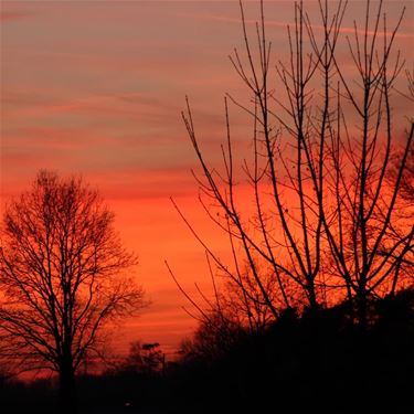 Genieten van de winterzon - Beringen