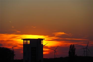 Genieten van de zon! - Beringen