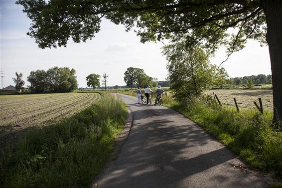 Genieten van het weer... en van het landschap - Overpelt