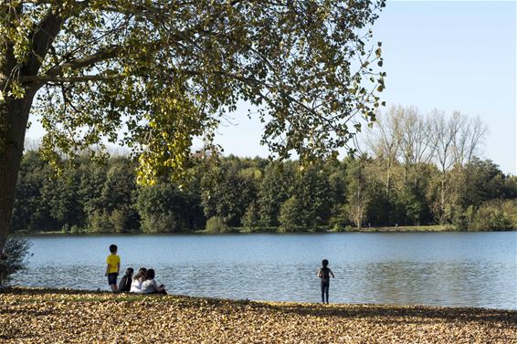 Genieten van stralend herfstweer - Beringen