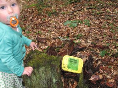 Geocoachen in Koerselse bossen - Beringen