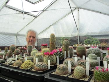 Geprikkeld door de cactussen van Paul - Beringen