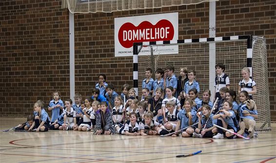 Geslaagd hockeytornooi in Dommelhof - Neerpelt