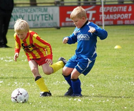 Geslaagd jeugdtornooi van SV Breugel - Peer