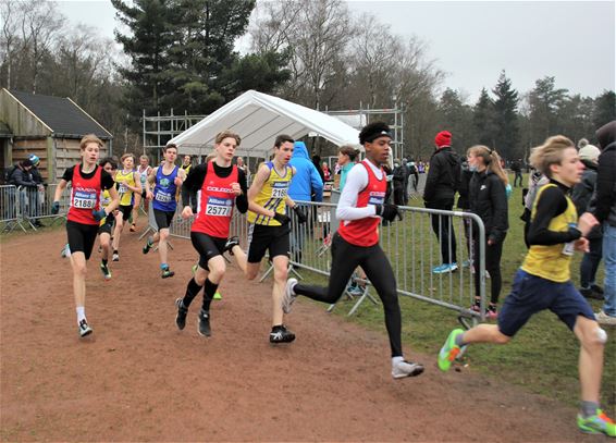 Geslaagd PK veldlopen bij DALO - Lommel