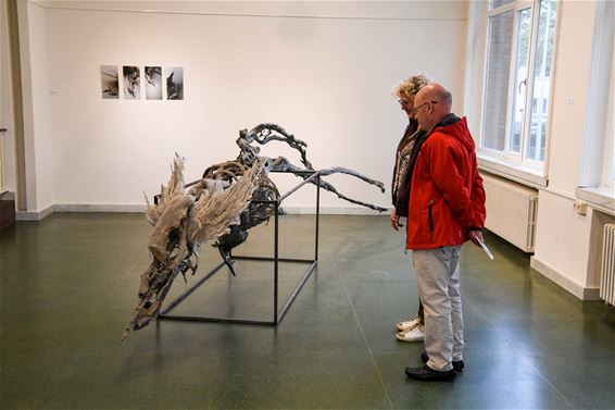 Gevleugelde opening tentoonstelling 'Birds'