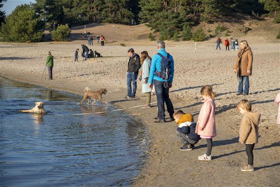 Geweldig wandelweer lokt veel volk naar buiten - Lommel