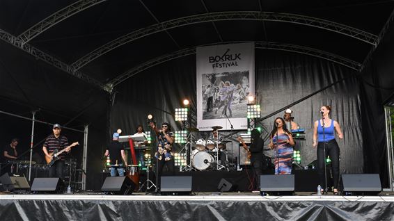 Gezellig Bokrijk Festival - Genk