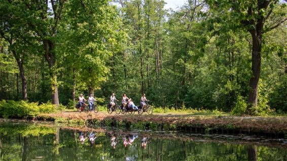 Gezellig samen in de natuur - Lommel
