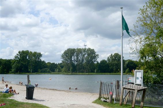 Gezellige drukte aan de Paalse Plas - Beringen