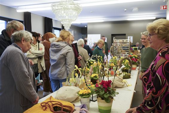 Gezellige lentemarkt Reigersvliet - Leopoldsburg