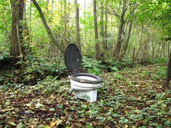 Gezien in de bossen van Vliegeneinde - Meeuwen-Gruitrode