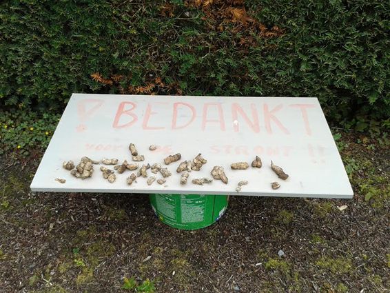 Gezien in de Wittesteenstraat - Peer
