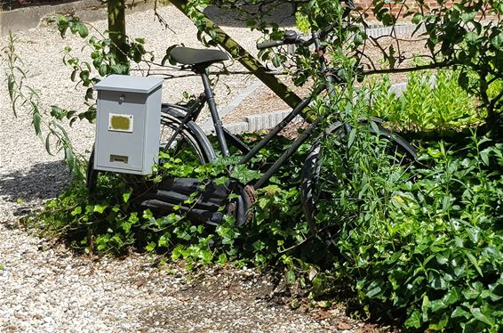 Gezien op de Locht - Hechtel-Eksel