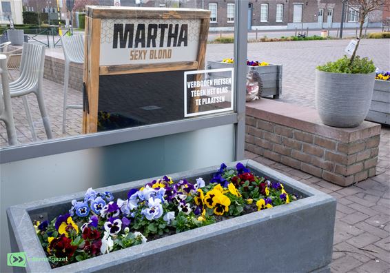 Gezien op het Lozerplein - Bocholt