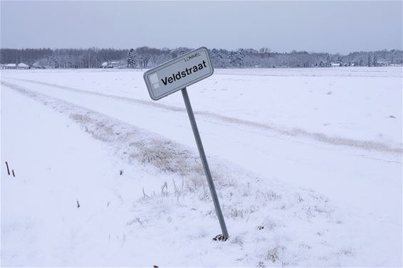 Gezien op Lommel Kolonie - Lommel