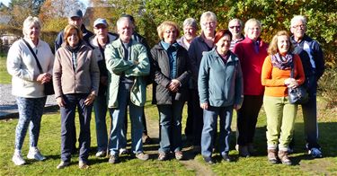 Gezonde boswandelingen met Okra Koersel - Beringen