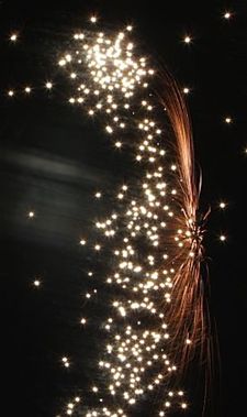 Gisteravond gezien... - Hamont-Achel