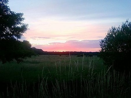 Gisteravond gezien... - Neerpelt
