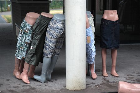 Gisteren gezien - Overpelt