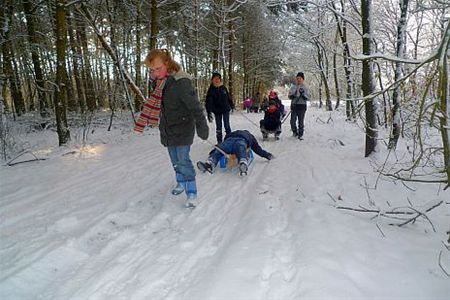 Gisteren gezien... - Lommel