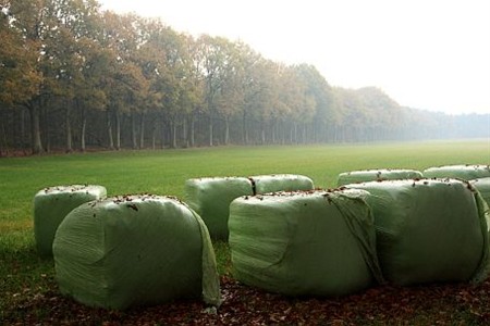 Gisteren gezien... - Lommel