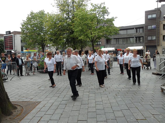 Gisteren gezien - Lommel