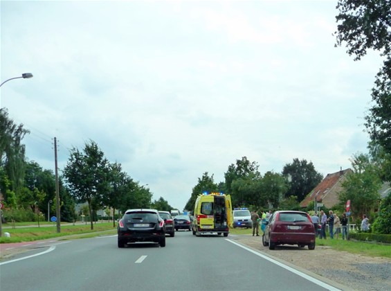 Gisteren gezien - Meeuwen-Gruitrode