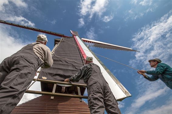 Gisteren was het 'Open Molendag' - Lommel