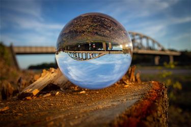 Glazen bol... - Beringen